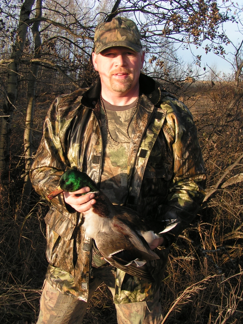 Nice Mallard